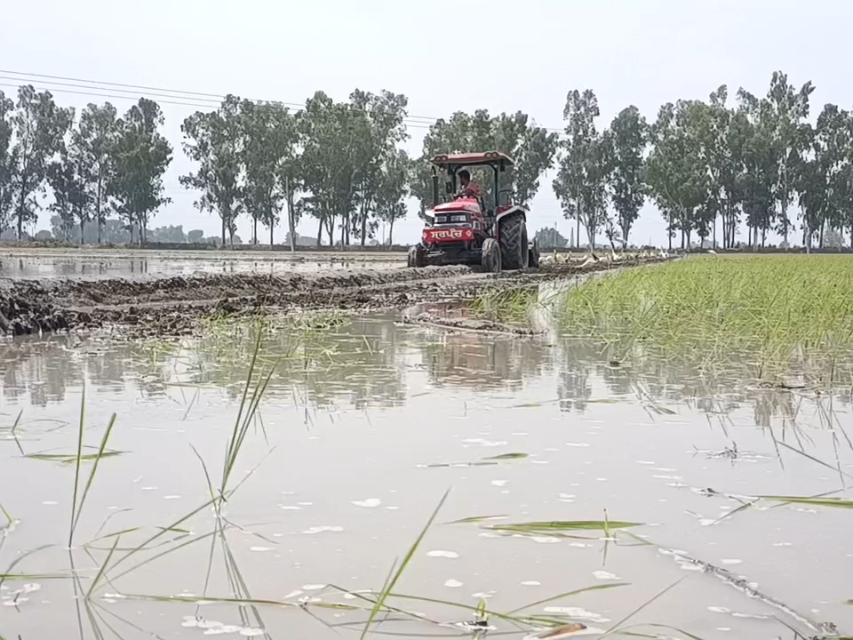 पंचायत विभाग की बड़ी कार्रवाई: 94 एकड़ जमीन से 68 वर्ष पुराना अवैध कब्जा छुड़ाया; कब्जाधारियों ने किया विरोध 2 अवैध कब्जा की गई भूमि पर ट्रैक्टर चलाता कर्मचारी।