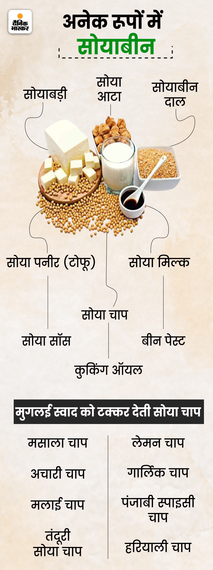 Soybean Khane Ke Fayde; China Soybean History, Benefits, and Side