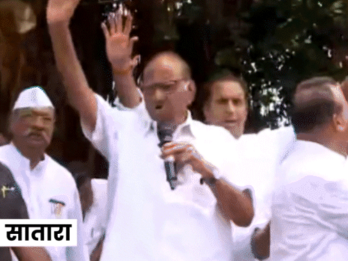 पहली फुटेज- शरद पवार सातारा के कराड पहुंचे, यहां उन्होंने रैली की। दूसरी- अजित पवार के घर सुबह उनके समर्थक मिलने पहुंचे।