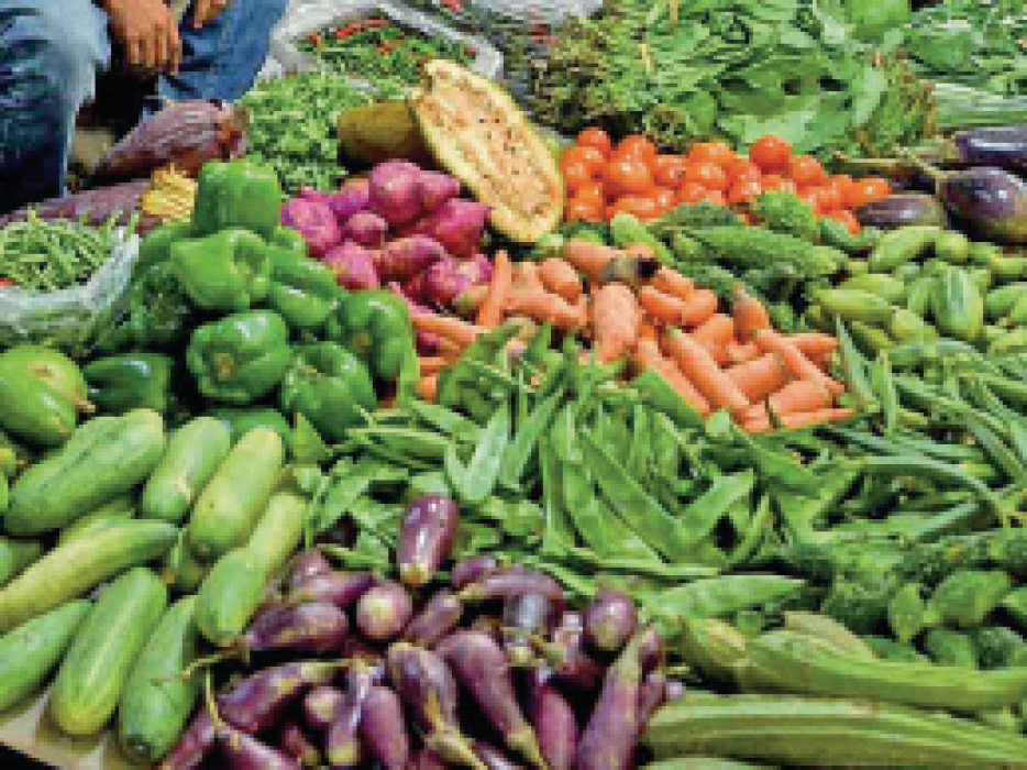 व्यापारी बोले- सब्जियों की आवक कम हो गई है, इसलिए रेट लगातार बढ़ रहे हैं - Dainik Bhaskar