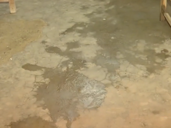 दिनहाटा के इंद्रेश्वर प्राइमरी स्कूल में बैलेट बॉक्स पर पानी फेंका गया, जिसके बाद यहां वोटिंग रोकनी पड़ी।