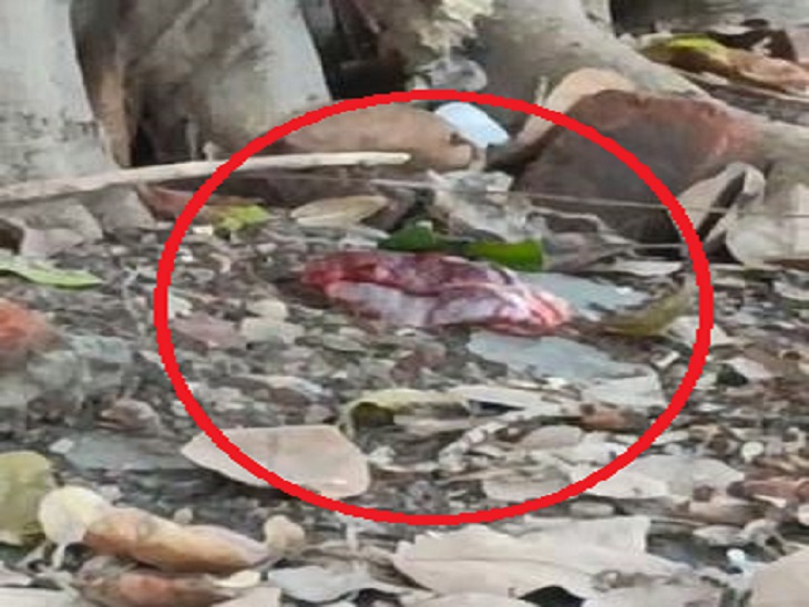 सिवल अस्पताल में बरगद के पेड़ के नीचे फेंका गया भ्रूूण