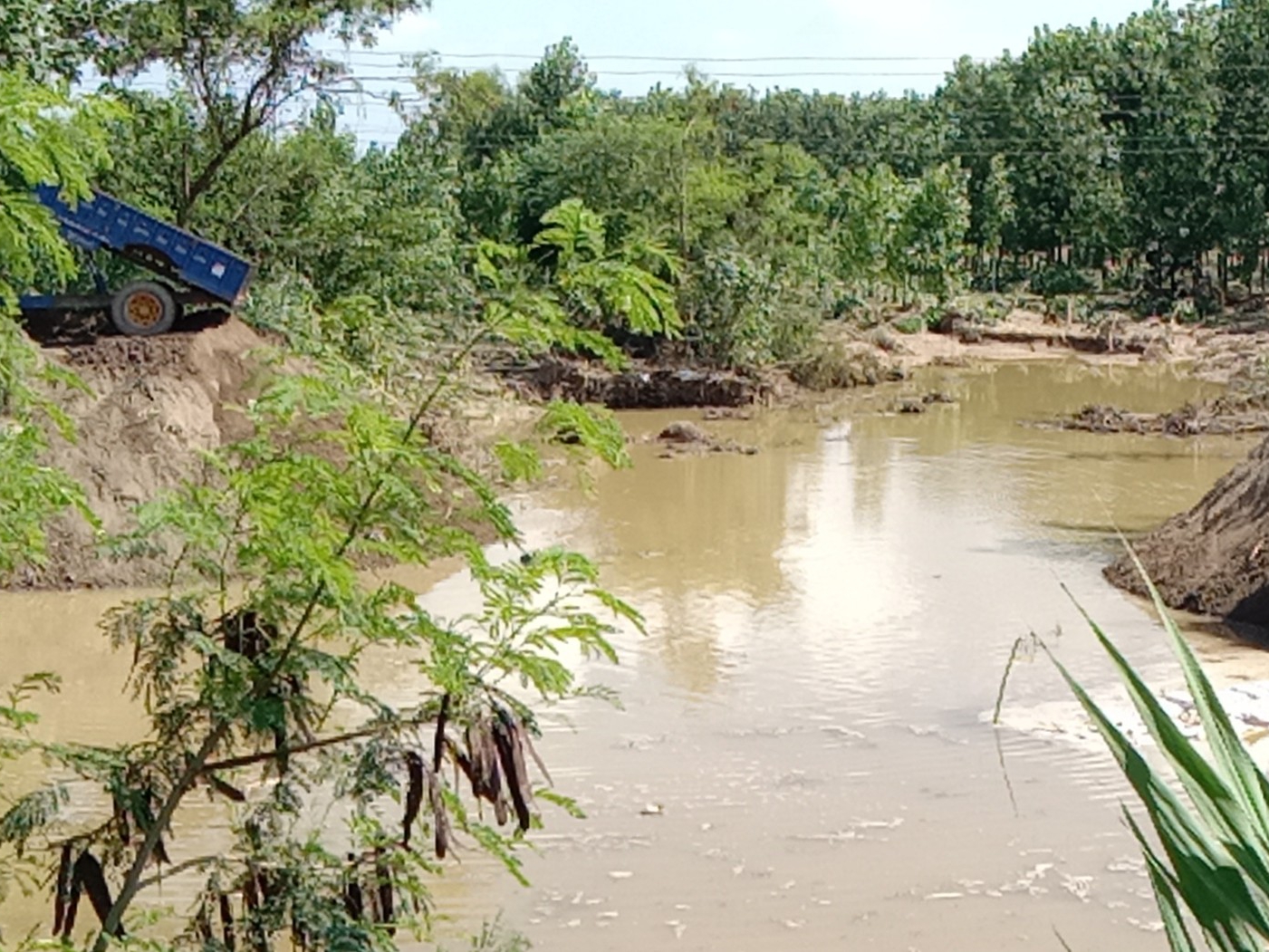 नवांशहर के आस-पास खेतों में भरा पानी।