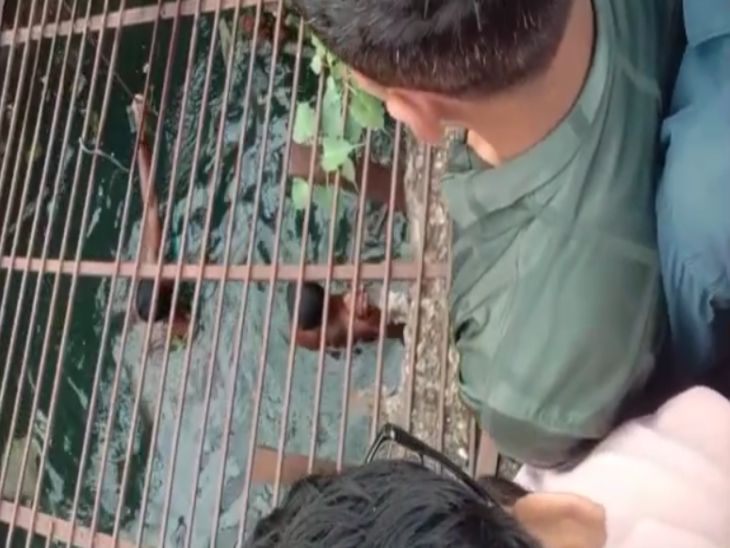 कुएं से 5 साल के बच्चे का शव निकाला गया। पुलिस-प्रशासन के अधिकारी मौके पर रहे मौजूद रहे।
