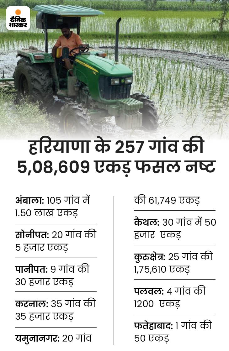 Haryana flood; More than 5 lakh acres of crops destroyed due to floods ...