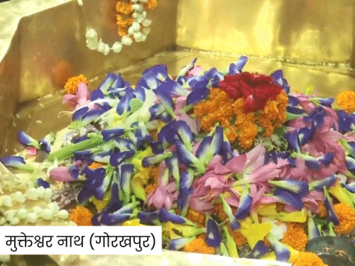 उत्तर प्रदेश के गोरखपुर में श्रद्धालुओं ने मुक्तेश्वर नाथ मंदिर में पूजा-अर्चना की।