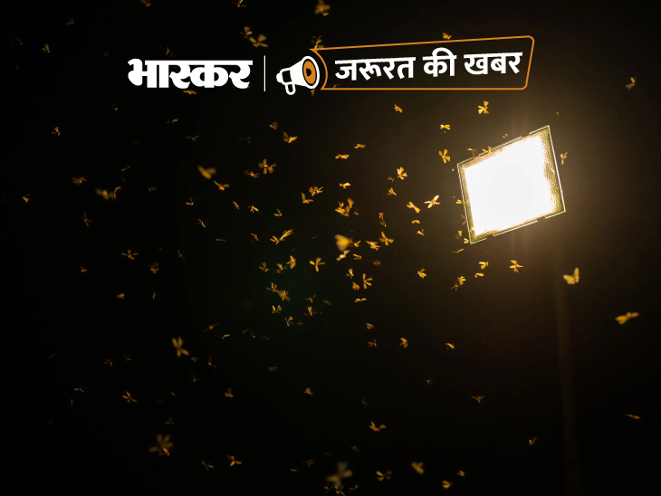 People Pleaser Meaning Kya Hai Expalined; What It Is, the Advantages