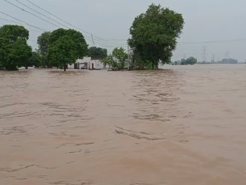 फतेहाबाद में शहर के पास के हालात।