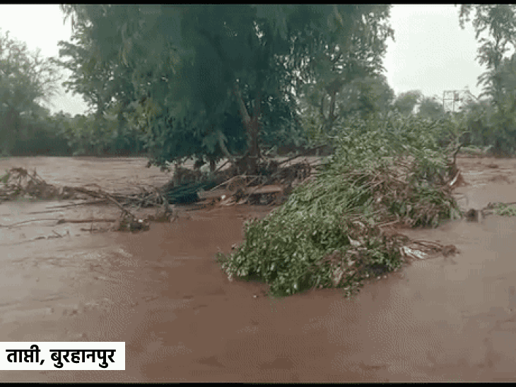 बुरहानपुर में ताप्ती नदी उफान पर आ गई।