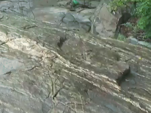 प्लास्टिक की 2 बोरियों में मिली थी युवक की सड़ी-गली लाश। शव कई टुकड़ों में काटा गया था।