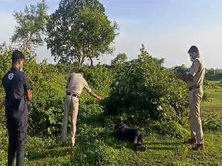 इस हालत में पड़ा मिला था ट्रक ड्राइवर का शव, मौके पर जांच करती पुलिस।