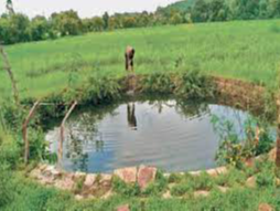 प्रतिकात्मक फोटो। - Dainik Bhaskar