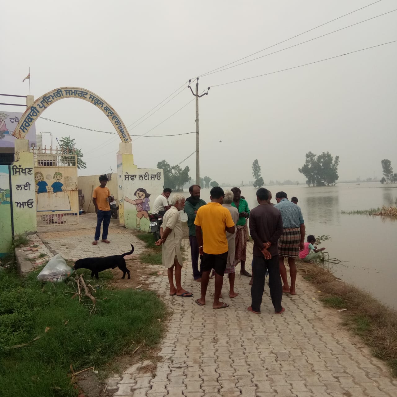 देश का पहला गांव ढहने की कगार पर: सतलुज दरिया के पानी में डूबा, कई मकान गिरे 3 गांव के लोग इकट्ठे होकर हालातों पर नजर बनाए हुए हैं।