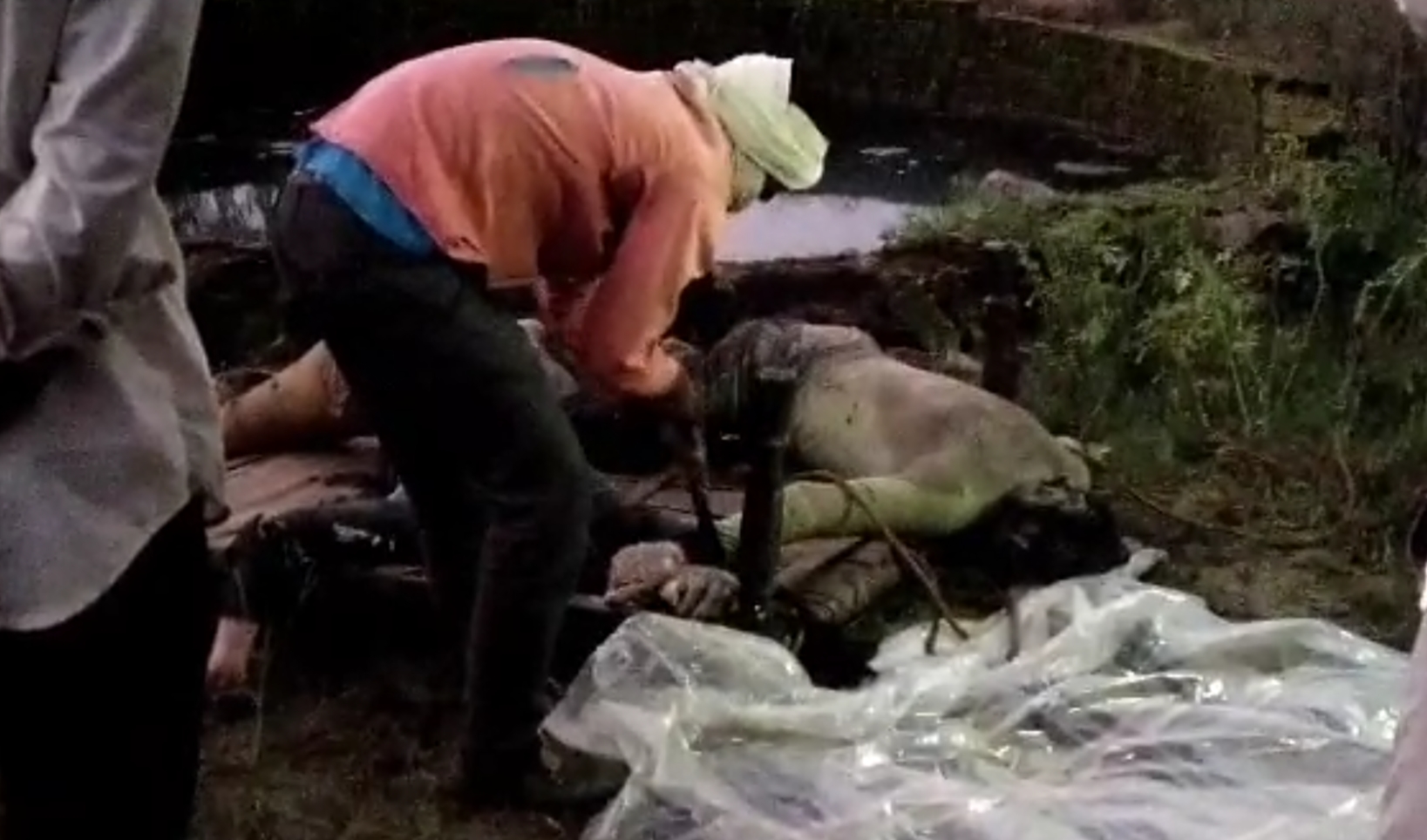 दुपट्‌टे से बंधे शवों के हाथों को खोलते हुए।