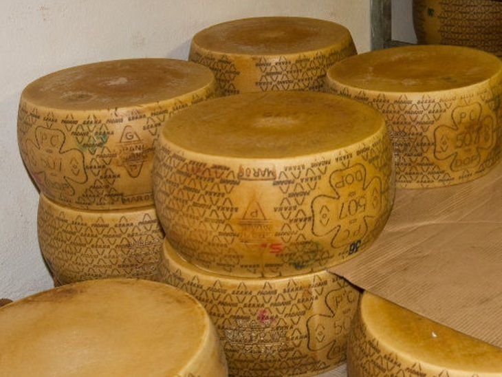 Italy Cheese Factory Accident Update Man Death Cheese Factory Tragedy