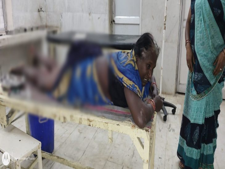 मादा भालू के हमले में महिला गंभीर रूप से घायल।