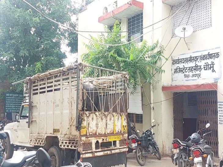 चोरी के 11 साल पुराने मामले में शिनाख्त के लिए भैंस को गुरुवार को चौमूं महानगर मजिस्ट्रेट क्रम संख्या 10 की कोर्ट में पेश किया गया।