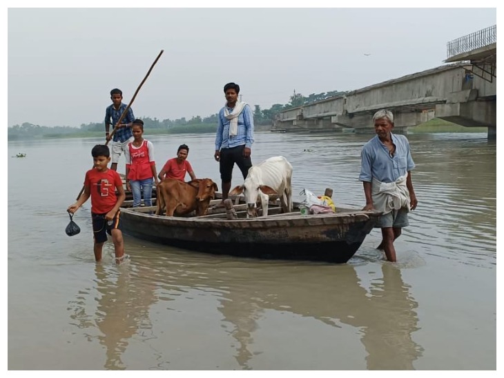 सुपौल में नाव से अपने पशुओं को सुरक्षित जगहों पर ले जाते लोग।