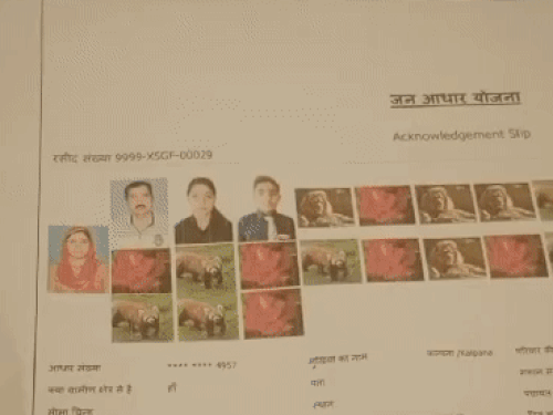 परिवार के 4 के अलावा जो 16 सदस्य जोड़े गए हैं, उनके फोटो की जगह 6 गुलाब के फूल, 4 शेर और 6 पांडा के फोटो अपलोड किए गए हैं। फर्जी नामों में भालू नाम भी शामिल है।