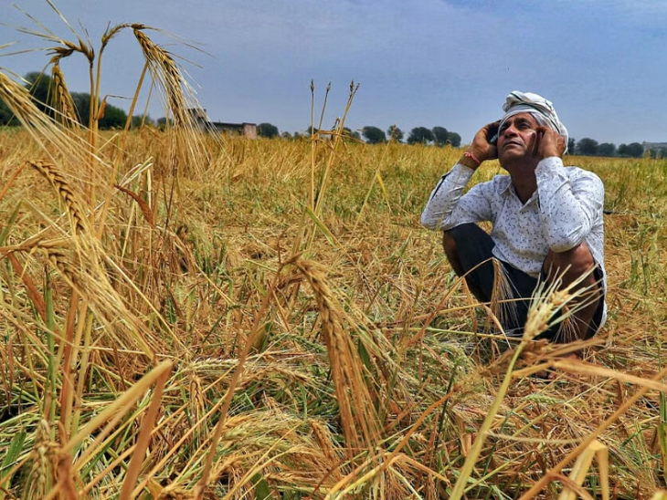 राजस्थान में 2021 में सूखे और बाढ़ दोनों की ही स्थितियां बनीं। इससे 20 लाख हेक्टेयर में खड़ी फसलें खराब हुईं।