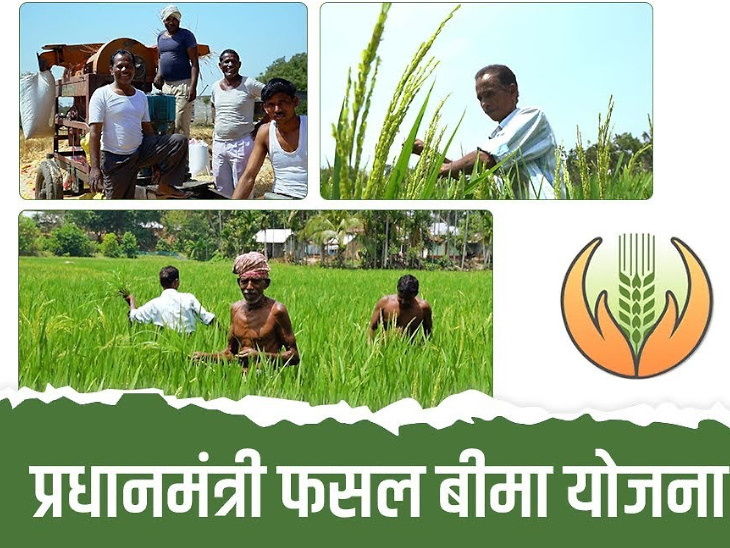 2020-21 में फसल बीमा के लिए देशभर के 5 करोड़ किसानों ने आवेदन दिया था, लेकिन 2.47 करोड़ ही योग्य पाए गए।