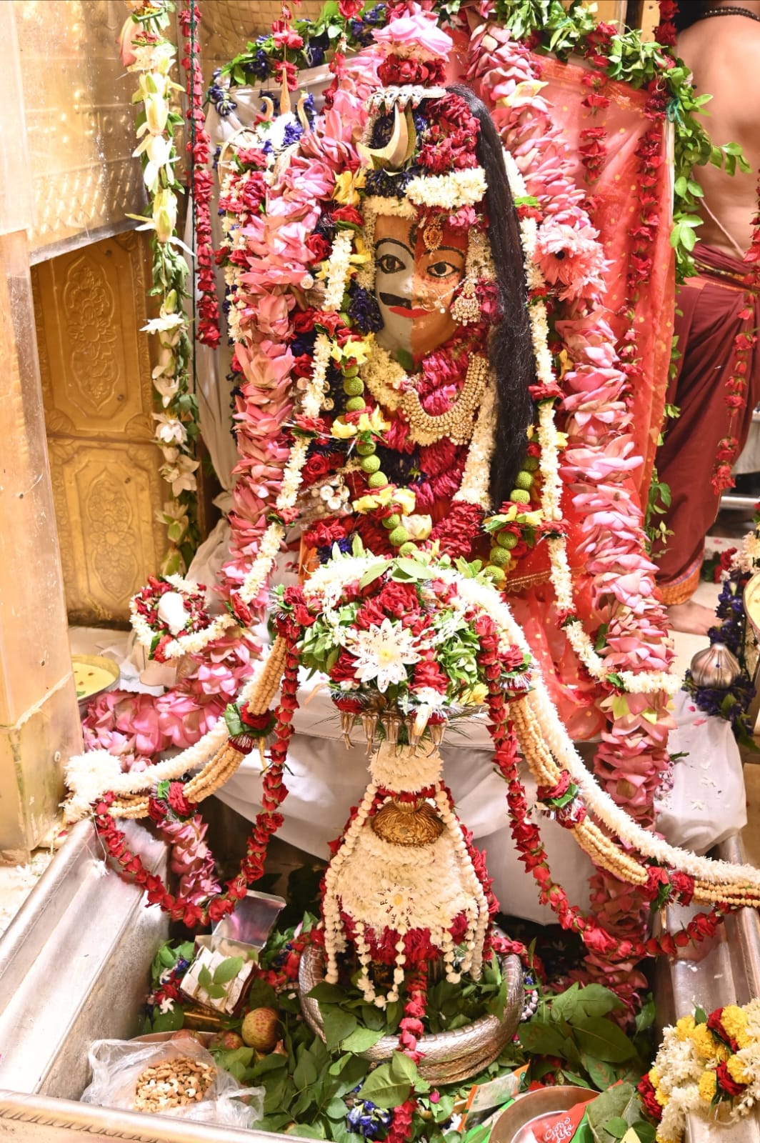 Baba Vishwanath's Ardh Narishwar Shringar photos released | बाबा ...