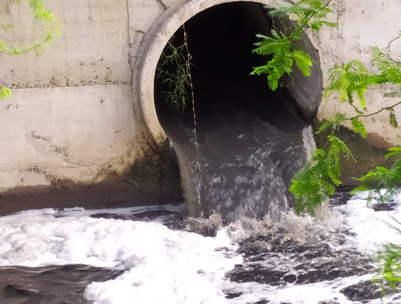 The plan to send treated water to the fields for irrigation and to