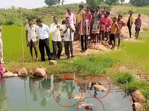 3 बच्चियों की मौत की खबर सुनकर घटनास्थल पर लोगों की भीड़ जमा हो गई। - Dainik Bhaskar
