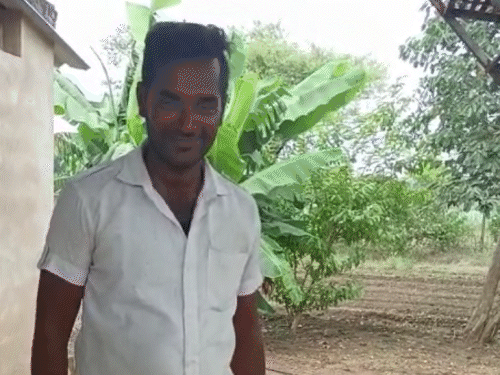 स्नेक कैचर ने हाल ही में एक बाइक से कोबरा को रेस्क्यू किया था। - Dainik Bhaskar