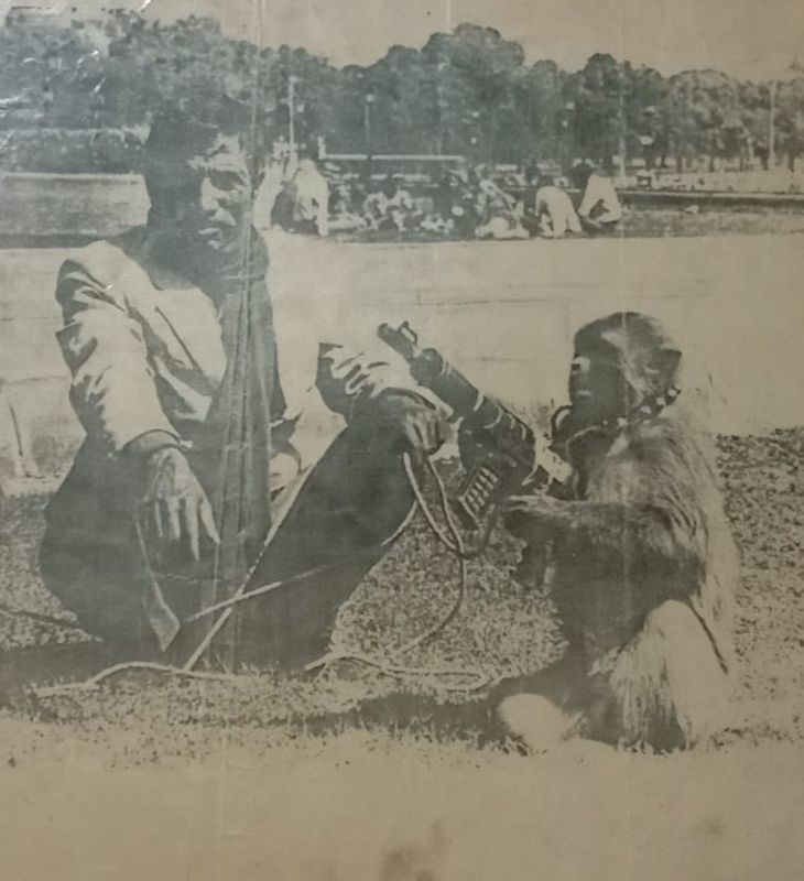 गुल खान के अब्बू दिल्ली में राष्ट्रपति भवन के बाहर बंदर का खेल दिखाते थे। उनके पास दो बंदर थे। विदेशी टूरिस्ट बंदर का तमाशा देखते और खुश होकर पैसा दे जाते। इससे हर दिन 200 से 500 रुपए कमाई हो जाती थी।