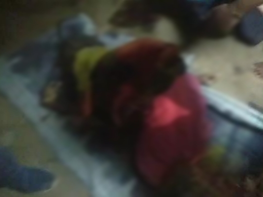 Elephants killed 2 women Elephants killed 2 women in Korba and ...