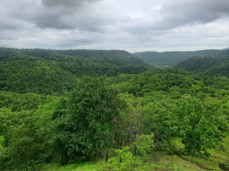 सितम्बर में अच्छी बारिश से छाने लगी हरियाली।