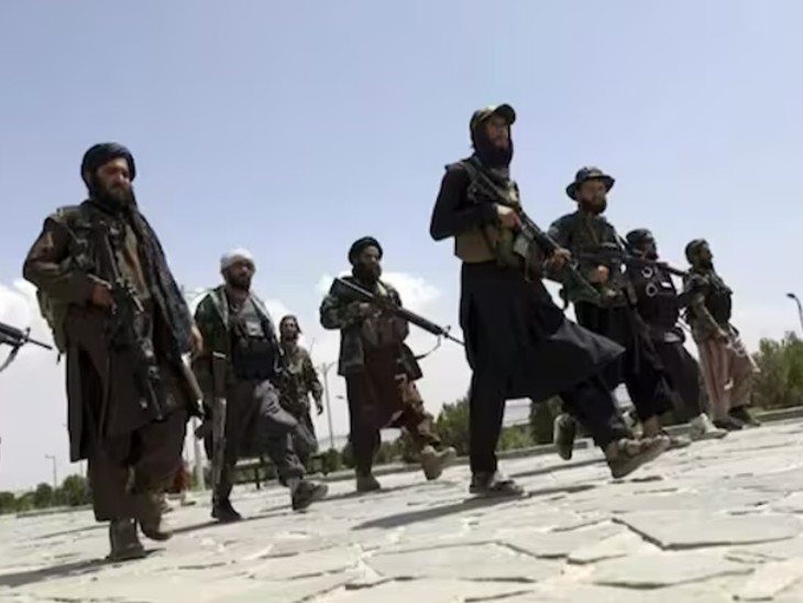 पाकिस्तान सरकार का कहना है कि अब तक देश में 24 फिदायीन हमले हुए हैं। इनमें से 14 हमलों में अफगानिस्तान नागरिक शामिल थे। - Dainik Bhaskar