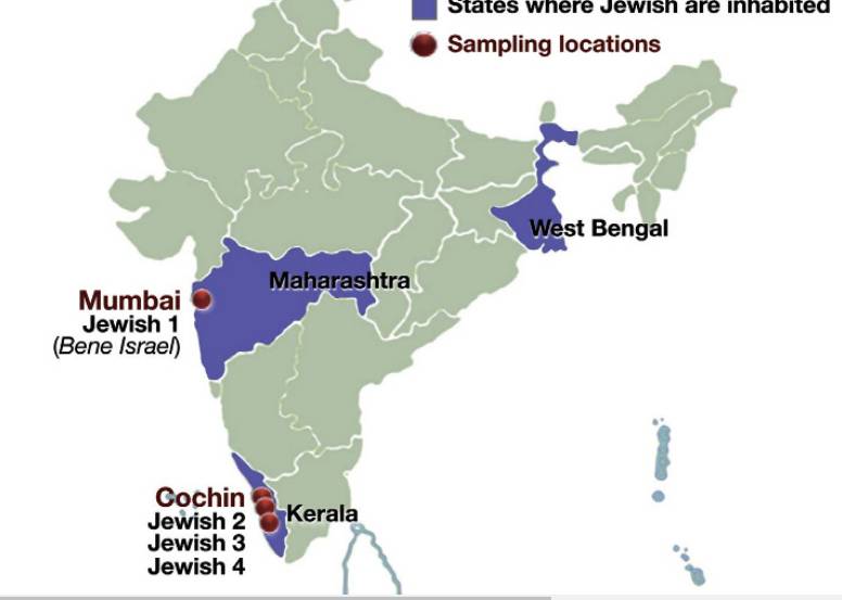 यह मैप, BHU के रिसर्च में अटैच किया गया है। इसमें नीले रंग के अंदर हरे रंग के गोले से यह दिखाया गया है कि भारत में कहां-कहां पर यहूदी लोगों की बसावट है।