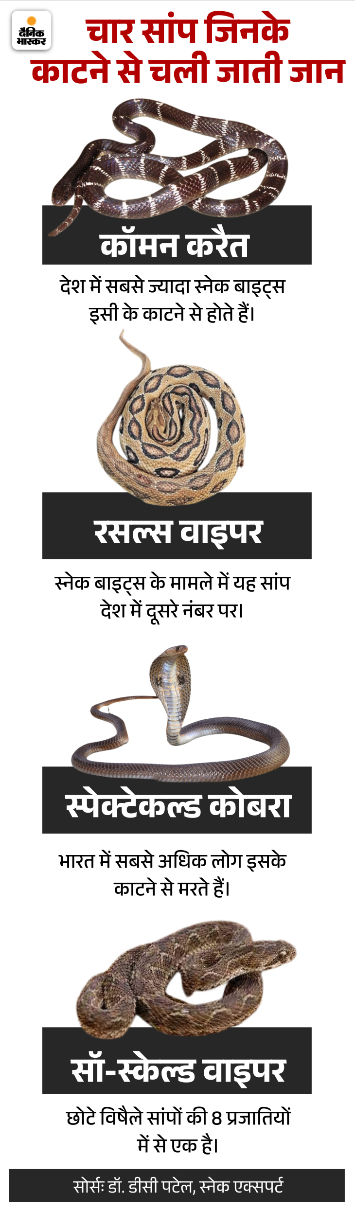 How to avoid snake bite, know about antivenom medicine making process