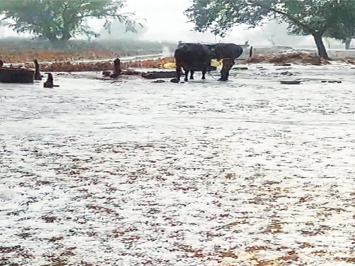 Hail in Bikaner and Phalodi, after drizzle in Jaipur, temperature