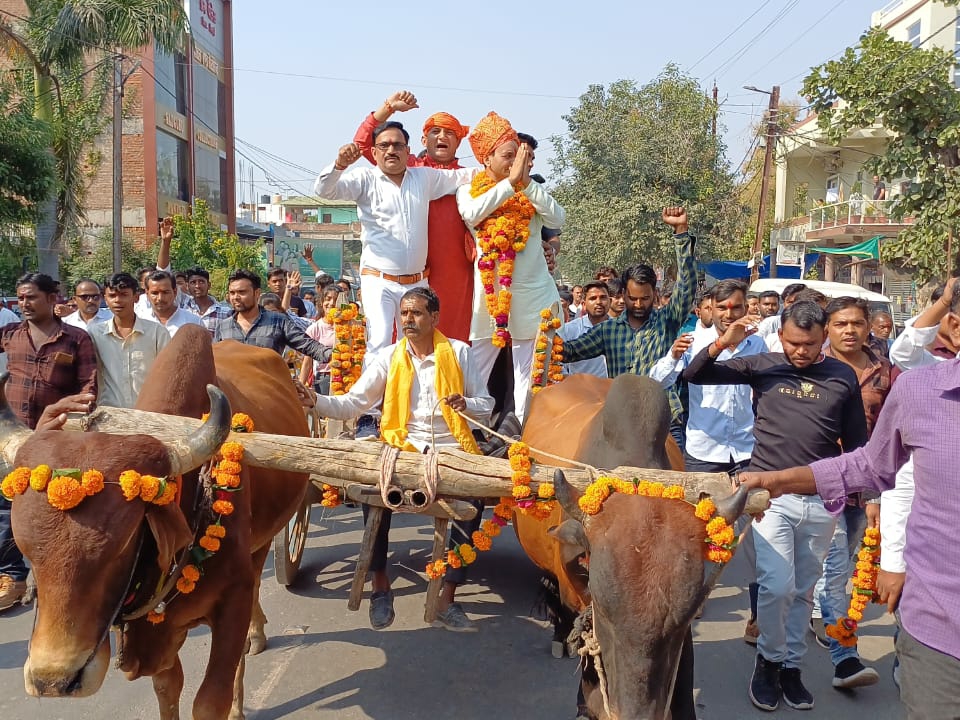 Nandram Kushwaha arrived to file nomination sitting on a bullock cart. | बीजेपी से टिकट नहीं मिलने से है नाराज, निर्दलीय चुनाव लड़ने का किया ऐलान - Money Bhaskar