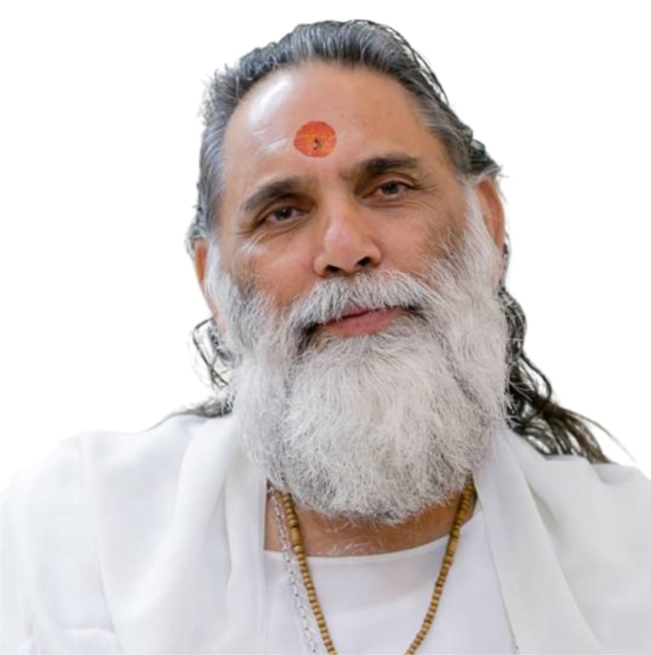 Swami Gyananand Ji Maharaj