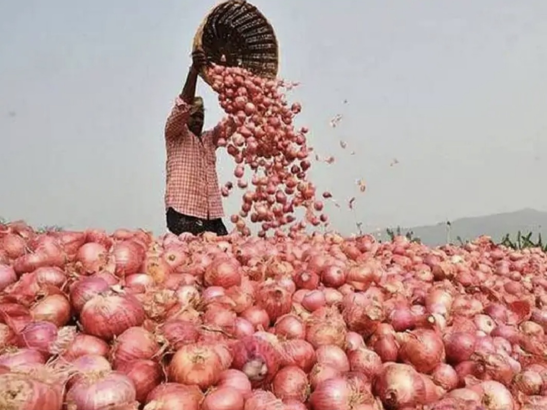 प्याज के छिलके को साफ करता किसान