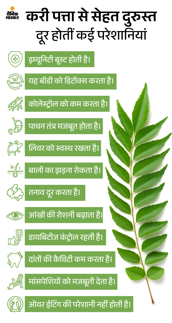 Curry Leaves Kari Patta benefits weight loss hair diabetes control