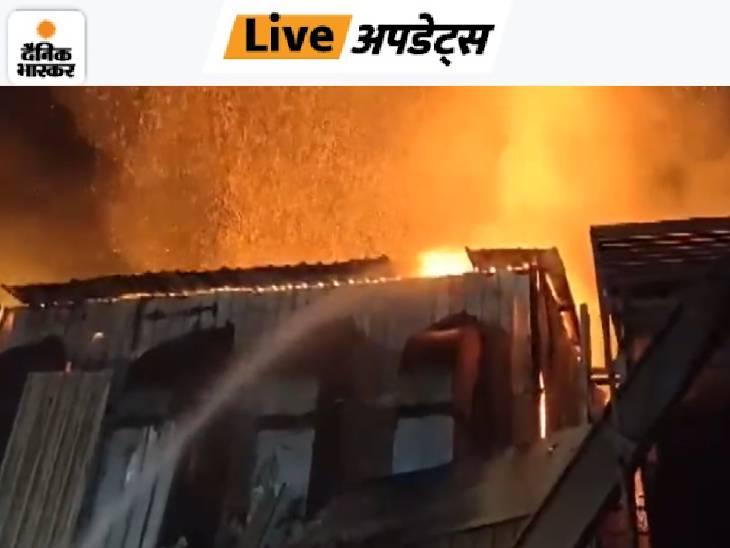 dainik bhaskar live update, breaking news delhi, up, bihar, mp 4 nov update | गुजरात के एक गोदाम में आग लगी, दमकल की कई गाड़ियां मौके पर