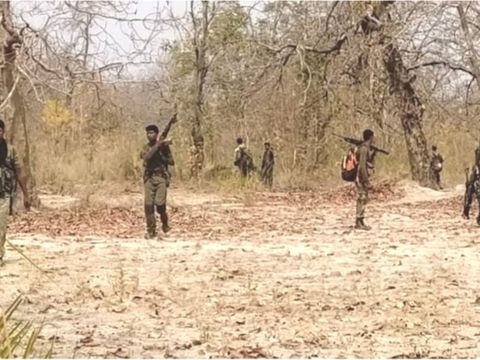 बस्तर में वोटिंग से ठीक एक दिन पहले नक्सली वारदात। - Dainik Bhaskar