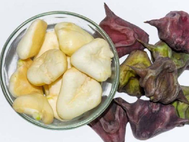 Sheikh of Dubai will eat water chestnut of Kashi दुबई के शेख खाएंगे