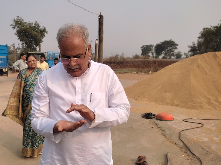 धान की फसल की नमी को जांचते हुए सीएम भूपेश बघेल