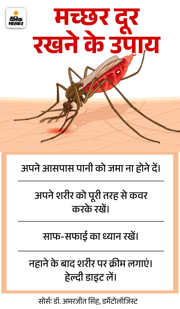Female mosquitoes bite pregnant women more प्रेग्नेंट महिलाओं को ज्यादा काटती मादा मच्छर O