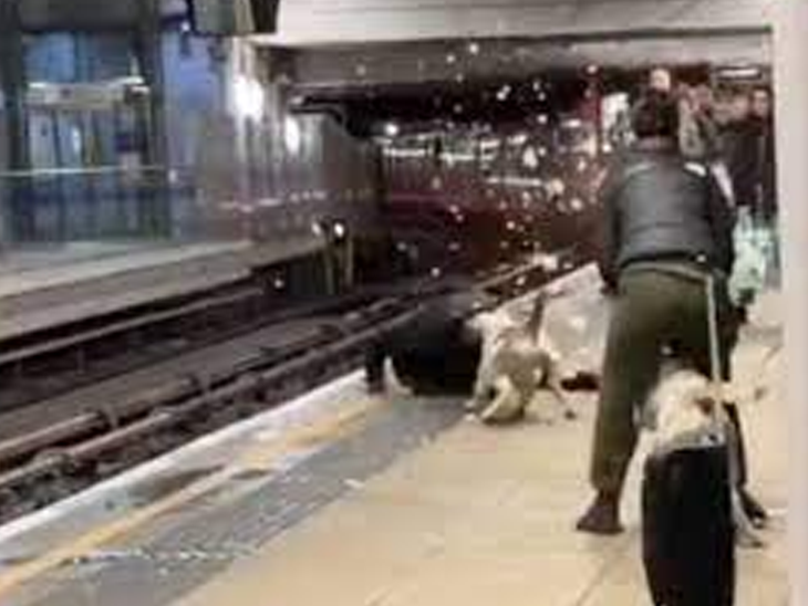 XL Bully dog attacks man on London’s Stratford station | महिला की मदद करने गए व्यक्ति पर किया हमला, सरकार 31 जनवरी से लगाने जा रही बैन