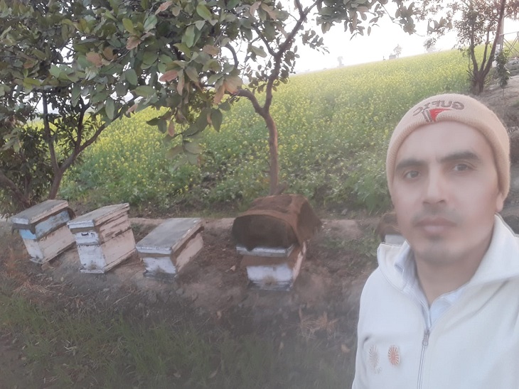 खेत में लगाए शहद के लिए बॉक्सों का दृश्य।