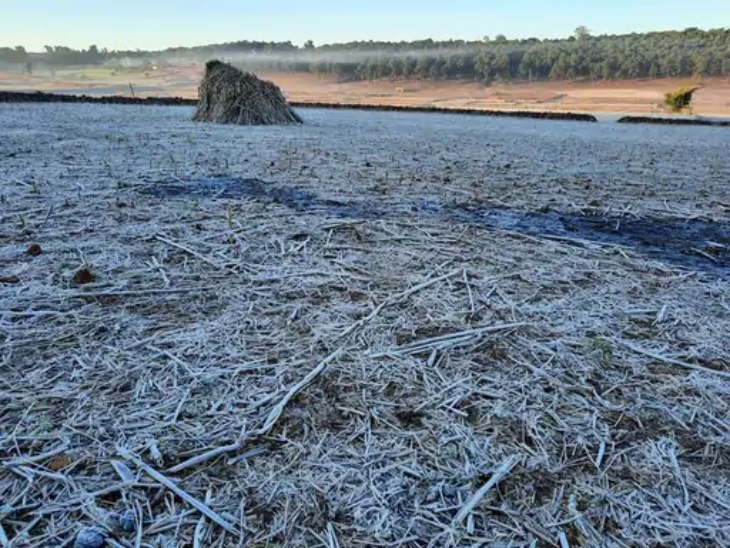 बीते 2 दिनों से जमीन पर बर्फ की चादर सी दिखाई पड़ रही है।