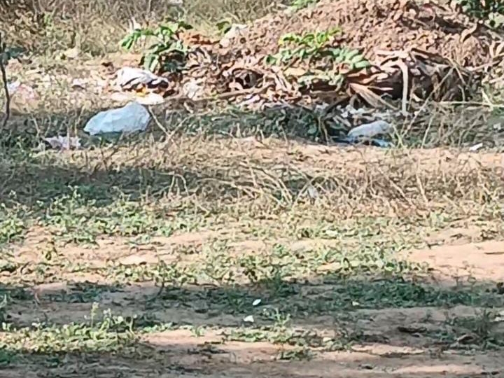 Newborn baby found in garbage heap in Korba dies during treatment ...