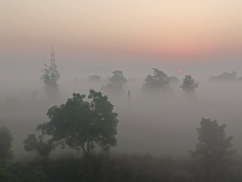 There may be some relief from cold in Chhattisgarh | छत्तीसगढ़ में ठंड से मिल सकती है थोड़ी राहत: रायपुर सहित कई जिलों में बादल छाए, 2 डिग्री तक बढ़ सकता है